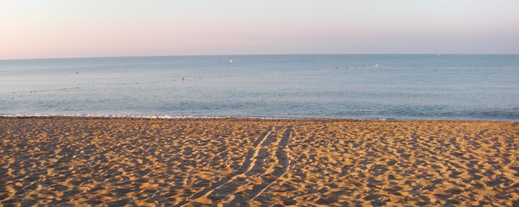 море