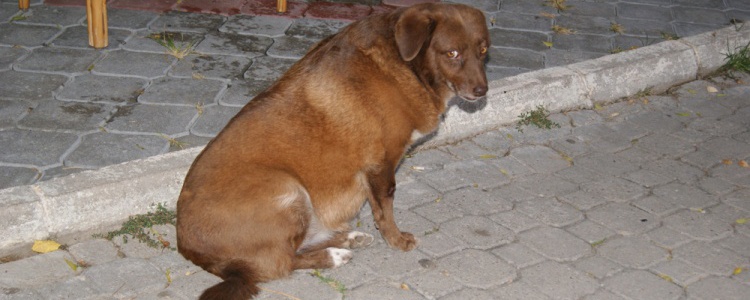 Фетхие