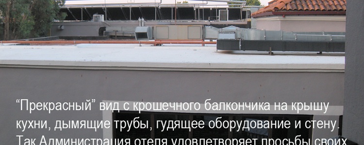 спасибо администрации за прекрасный вид