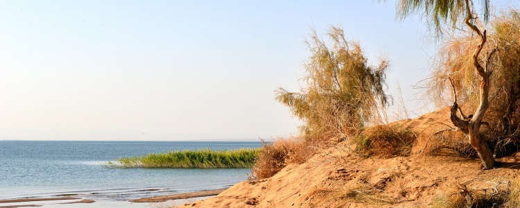 Нурата