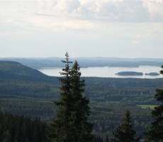 Коли