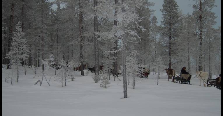  Оулу