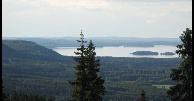  Коли