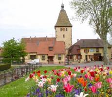 Bergheim