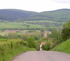 Cluny