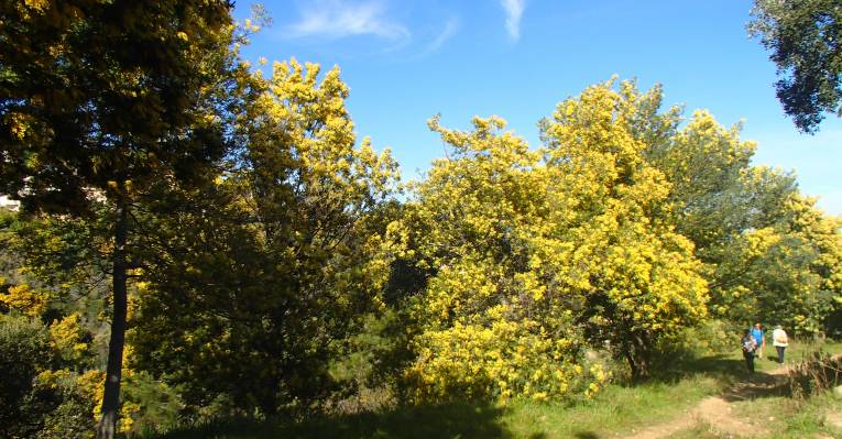  Манделье-ла-Напуль