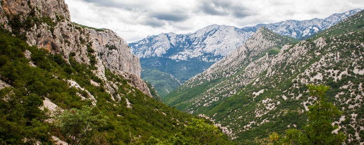 Стари Град