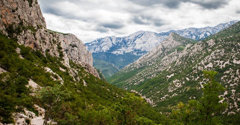  Стари Град