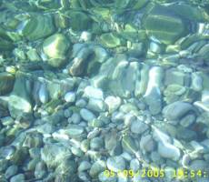 Водичка