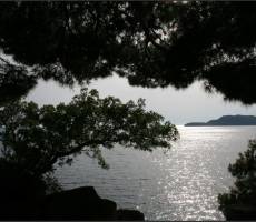 Природа