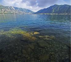 Чистота Montenegro