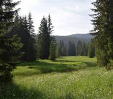 Национальный парк Дурмитор