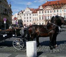 Староместская площадь