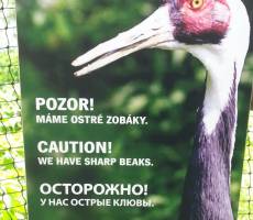Прага. Зоопарк