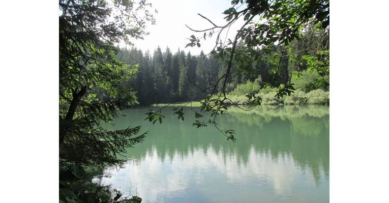  Флимс