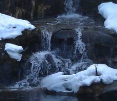Небольшой водопад и водоём с обитателями. Скансен.