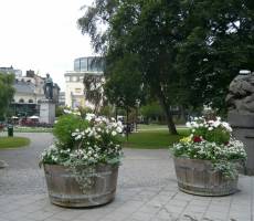 парк Berzeli 