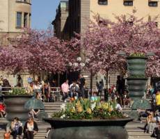 Kungsträdgården. Стокгольм