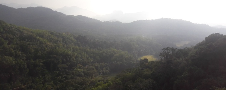 Канди