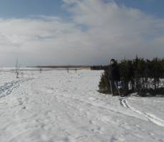 Вид на Рижский залив Балтийского моря