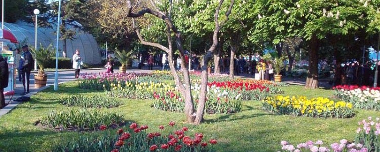 Приморский парк.
