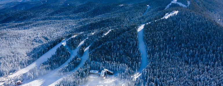 Боровец