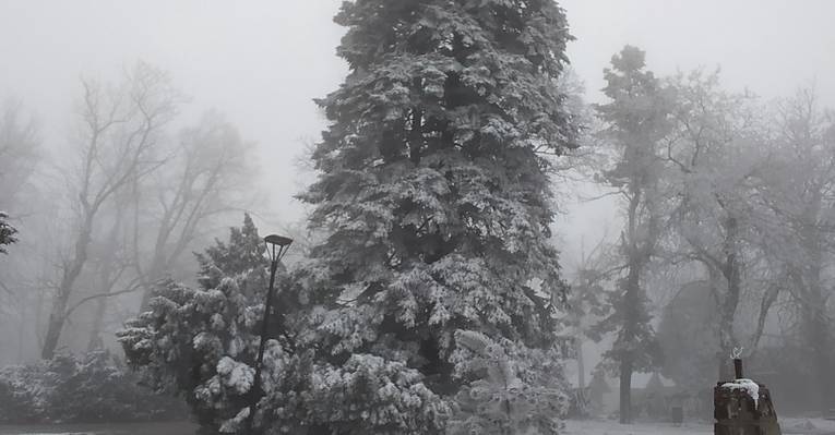  Сараево