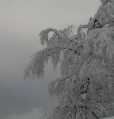 Зельден