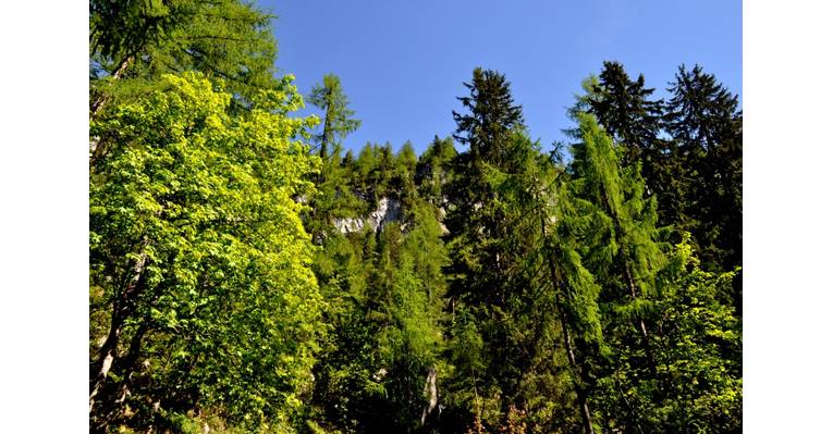  Зальцкамергут