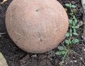 Фотография из рассказа О Рио-Рио, сколько порыва, сколько зноя в черных очах