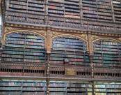 Фотография из рассказа О Рио-Рио, сколько порыва, сколько зноя в черных очах