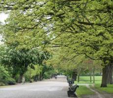 Regent's Park