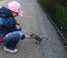 В Hyde Park