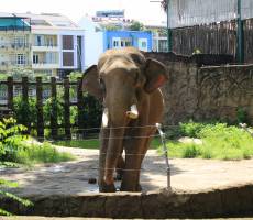 Zoo and Botanical Gardens