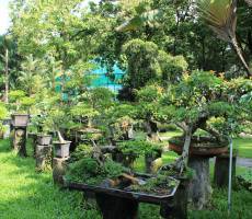 Zoo and Botanical Gardens