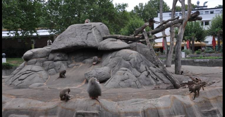  Кассель