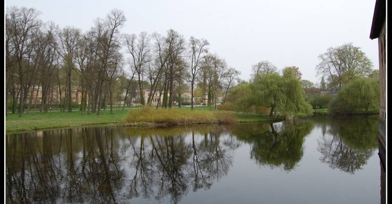  Целле