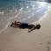 тушка