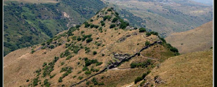 Гамла