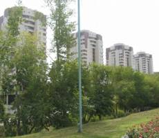 Novi Gorod