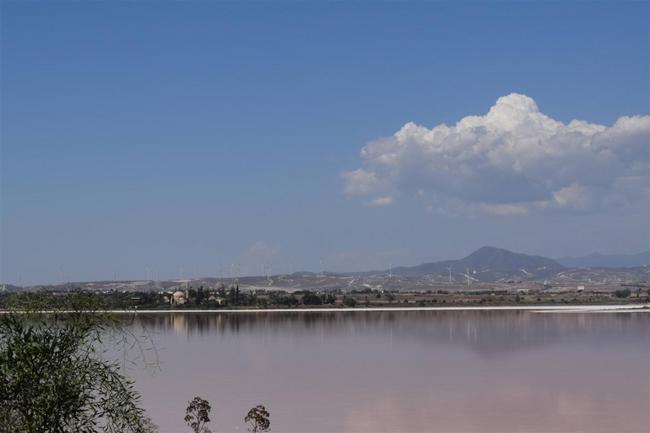 Розовое соленое озеро под Ларнакой