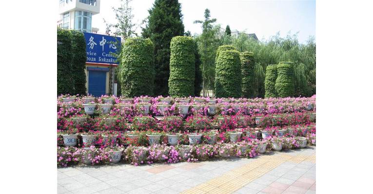  Лантау