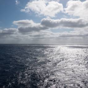 MSC Armonia