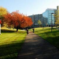 Брюссельский свободный университет (нидерландскоязычный)