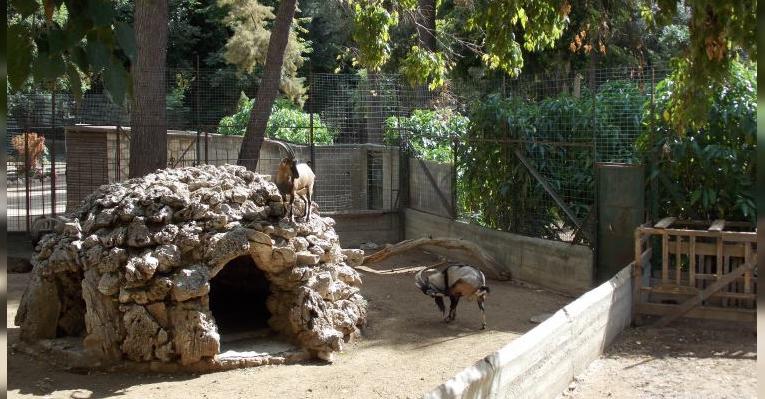Мини-зоопарк