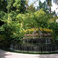 Ботанические сады Сингапура