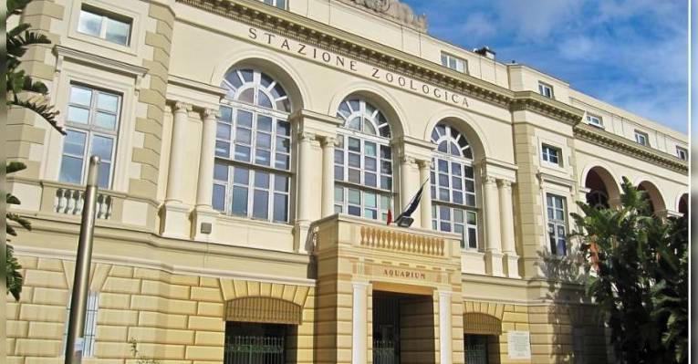 Аквариум Неаполя