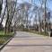 Аллеи парка