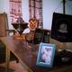 The house-museum of Ben Gurion