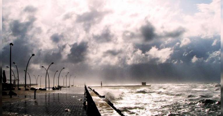 Tel Aviv Port